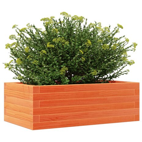 Plantenbak 70x40x23 cm massief grenenhout wasbruin 4