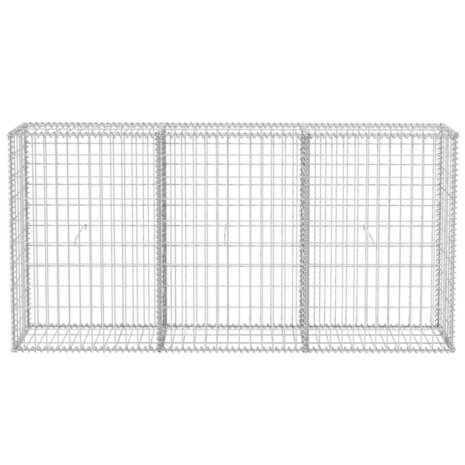 Gabion mand 200x30x100 cm gegalvaniseerd staal 2