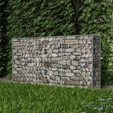 Gabion mand 200x30x100 cm gegalvaniseerd staal 3