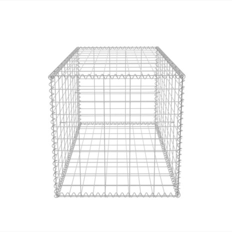 Gabion mand 100x50x50 cm gegalvaniseerd staal 5