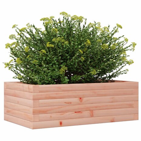 Plantenbak 70x40x23 cm massief douglashout 4