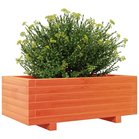 Plantenbak 70x40x26,5 cm massief grenenhout wasbruin 4