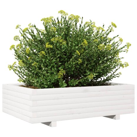 Plantenbak 90x60x26,5 cm massief grenenhout wit 4