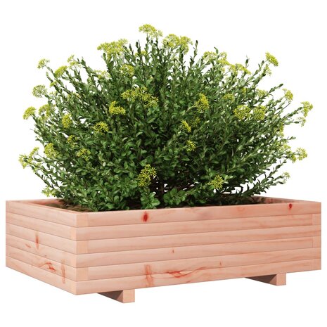 Plantenbak 90x60x26,5 cm massief douglashout 4