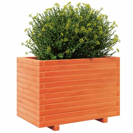 Plantenbak 70x40x49,5 cm massief grenenhout wasbruin 4