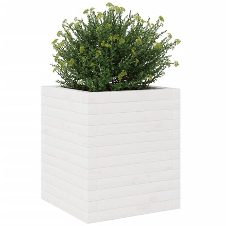 Plantenbak 40x40x46 cm massief grenenhout wit 4