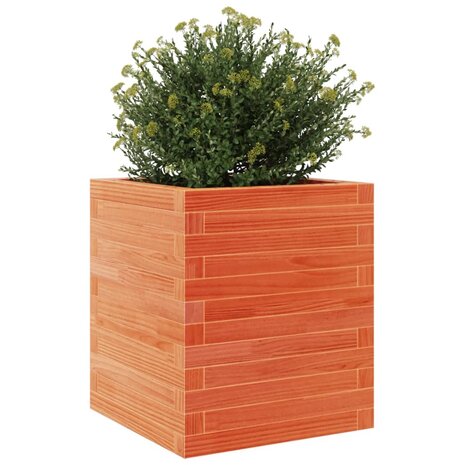 Plantenbak 40x40x46 cm massief grenenhout wasbruin 4