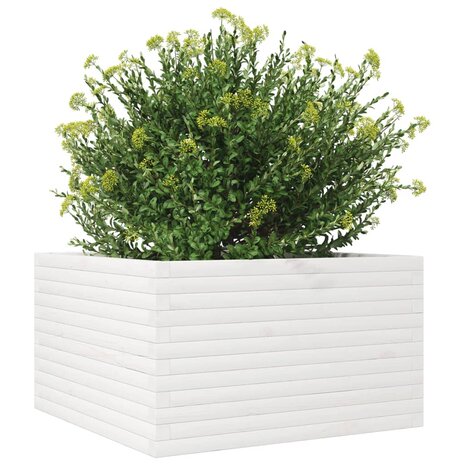 Plantenbak 80x80x45,5 cm massief grenenhout wit 4