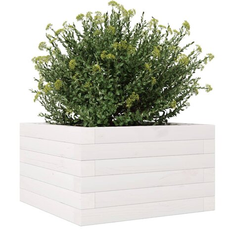 Plantenbak 40x40x23 cm massief grenenhout wit 4