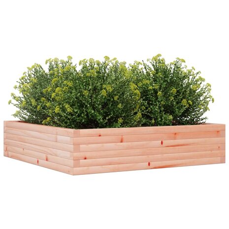 Plantenbak 100x100x23 cm massief douglashout 4