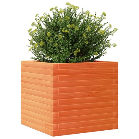 Plantenbak 50x50x45,5 cm massief grenenhout wasbruin 4