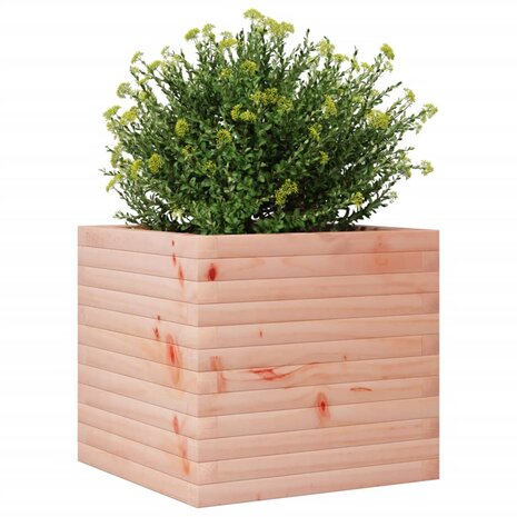 Plantenbak 50x50x45,5 cm massief douglashout 4