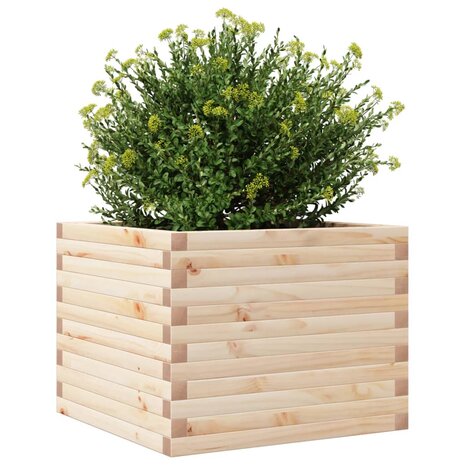 Plantenbak 60x60x45,5 cm massief grenenhout 4