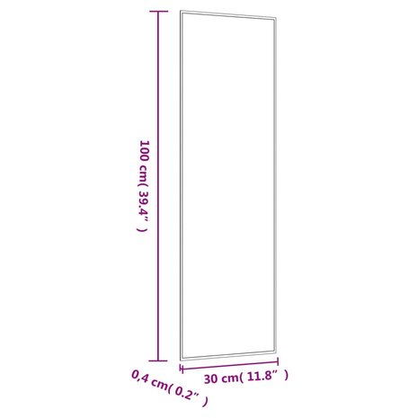 Wandspiegel 30x100 cm rechthoekig glas 6