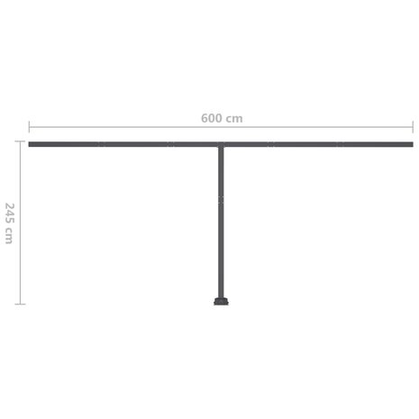 Luifel vrijstaand handmatig uittrekbaar 600x300 cm antraciet 12