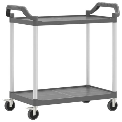 Trolley 2-laags 99x50x97 cm aluminium grijs 2