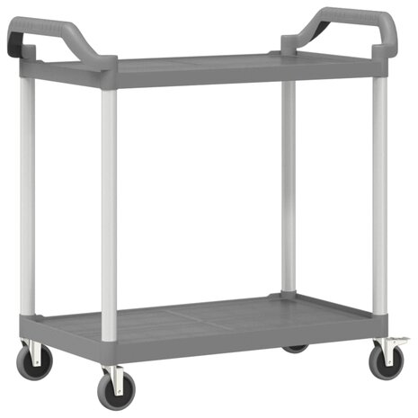 Trolley 2-laags 99x50x97 cm aluminium grijs 6