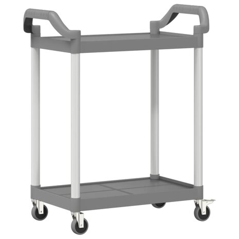 Trolley 2-laags 81x41x92 cm aluminium grijs 6