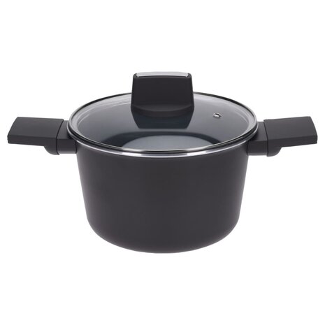 Excellent Houseware Braadpan met deksel 20 cm 1