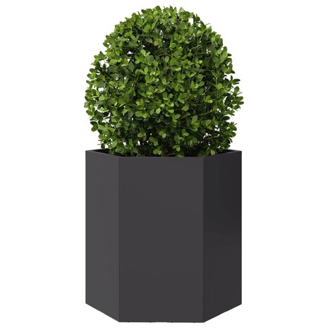 Plantenbakken 2 st zeshoek 46x40x45 cm staal zwart 5