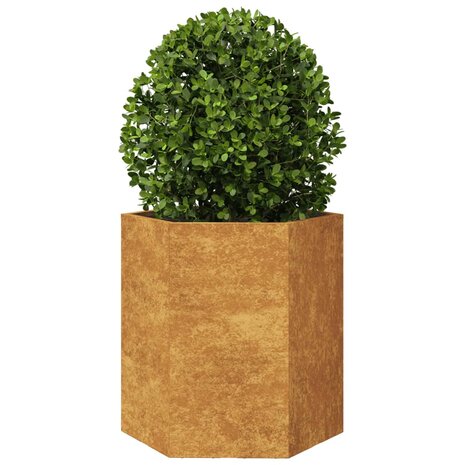 Plantenbak zeshoek 46x40x45 cm cortenstaal 3