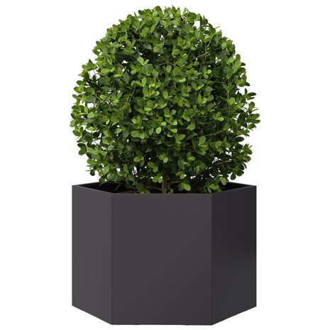 Plantenbak zeshoek 69x60x45 cm staal zwart 3