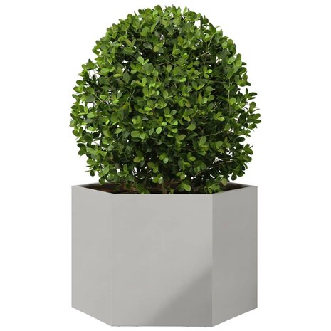 Plantenbak zeshoek 69x60x45 cm roestvrijstaal 3