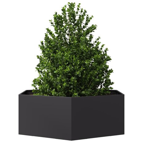 Plantenbak zeshoek 138x120x45 cm staal zwart 3