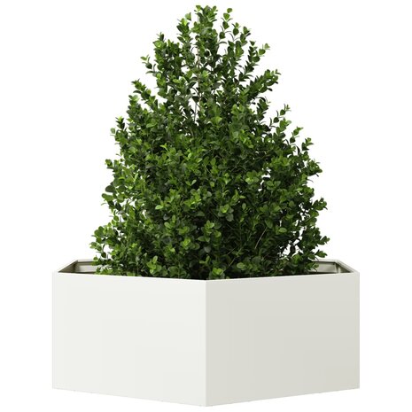 Plantenbak zeshoek 138x120x45 cm staal wit 3