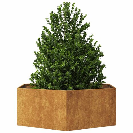 Plantenbak zeshoek 138x120x45 cm cortenstaal 3