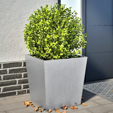 Plantenbakken 2 st 50x50x50 cm gegalvaniseerd staal 1