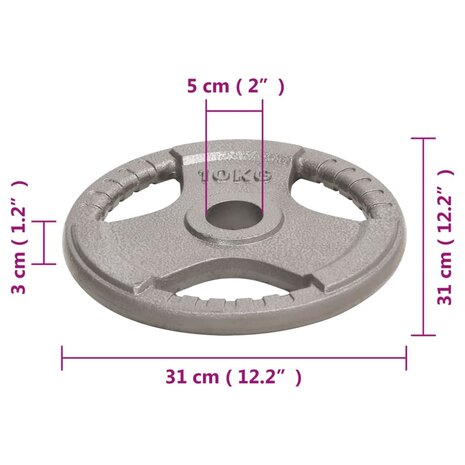 Halterschijven 2 st 20 kg gietijzer 7