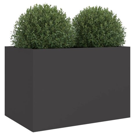 Plantenbak 62x40x39 cm staal zwart 4