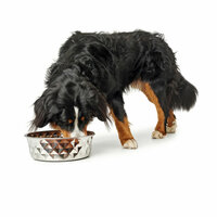 Voerbak voor honden Hunter Siliconen Roestvrij staal 1,75 L 3