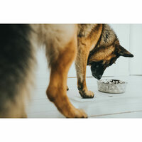 Voerbak voor honden Hunter Siliconen Roestvrij staal 1,75 L 5
