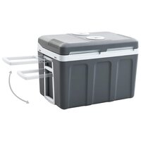 Koelbox thermo-elektrisch draagbaar 12 V 230 V E 40 L 3