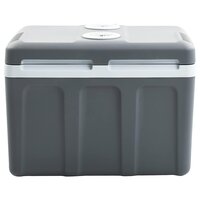Koelbox thermo-elektrisch draagbaar 12 V 230 V E 40 L 4