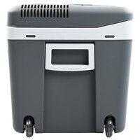 Koelbox thermo-elektrisch draagbaar 12 V 230 V E 40 L 6