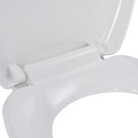Toiletbril soft-close met quick-release ontwerp wit 6