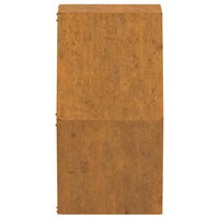 Plantenbakken wandmontage 2 st 30x10x25 cm cortenstaal roestig 7