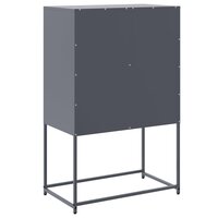 Hoge kast 68,5x38,5x107 cm staal antracietkleurig 8