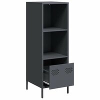 Hoge kast 35x39x103,5 cm staal antracietkleurig 4