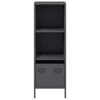 Hoge kast 35x39x103,5 cm staal antracietkleurig 5
