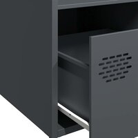 Hoge kast 35x39x103,5 cm staal antracietkleurig 9