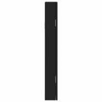 Sieradenkast met spiegel wandgemonteerd 30x8,5x67 cm zwart 6
