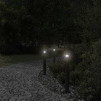 Vloerlamp voor buiten 60 cm roestvrij staal zwart 3