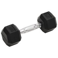 Halters 2 st 10 kg totaal gietijzer 2
