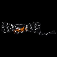 Tentscheerlijnen met spanners 8 st reflecterend 4 m 4 mm 4