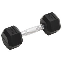 Halters 2 st 8 kg totaal gietijzer 2
