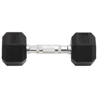 Halters 2 st 8 kg totaal gietijzer 3
